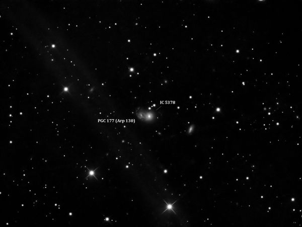 Arp 130