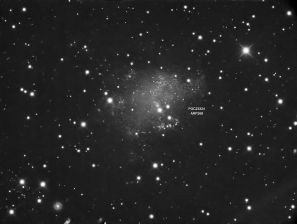 Arp 268
