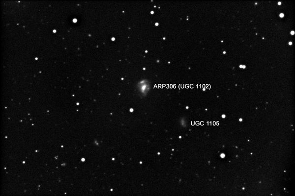 Arp 306