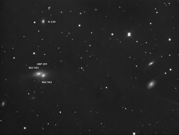 Arp 309