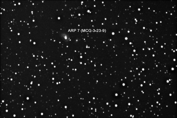 Arp 7