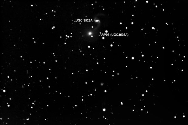 Arp 96