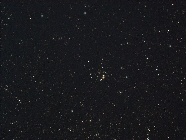Berkeley 82