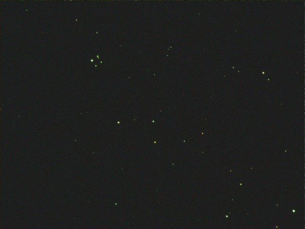Brosch 1