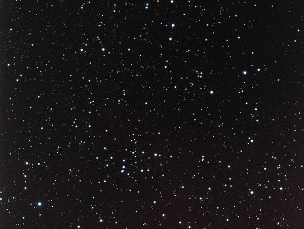 Collinder 466