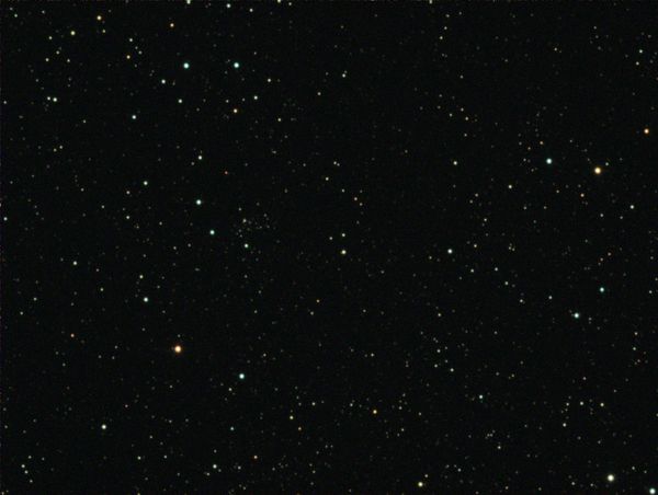 Czernik 42