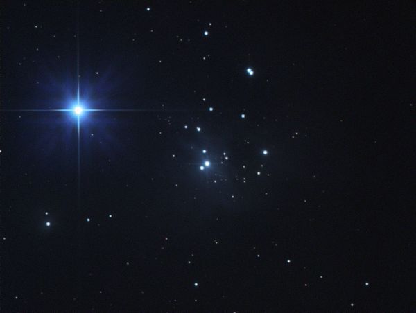 IC 348