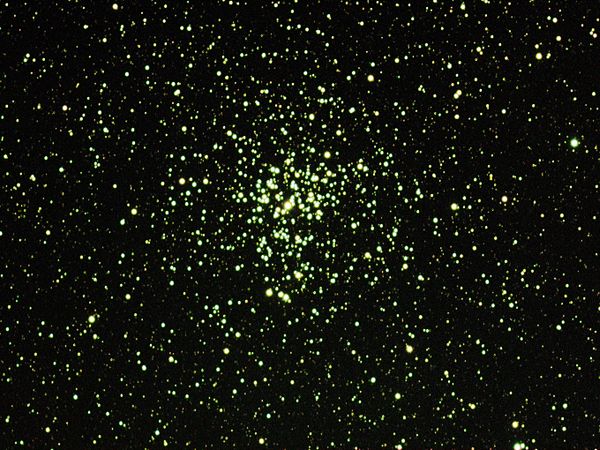 Messier 37 in Auriga