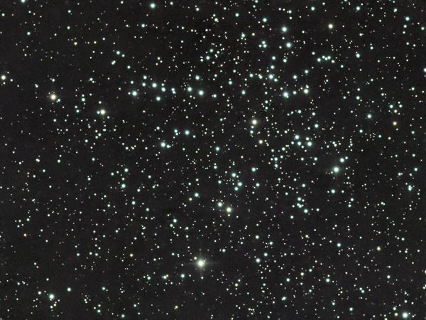 Messier 38 in Auriga