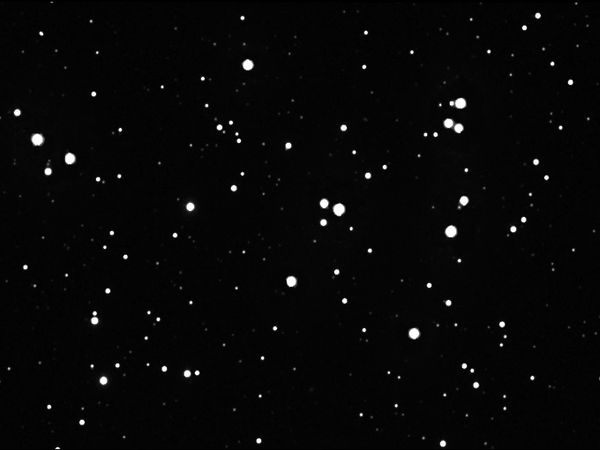 Messier 44 in Cancer