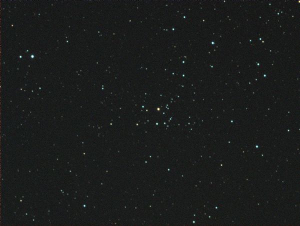 NGC 1348