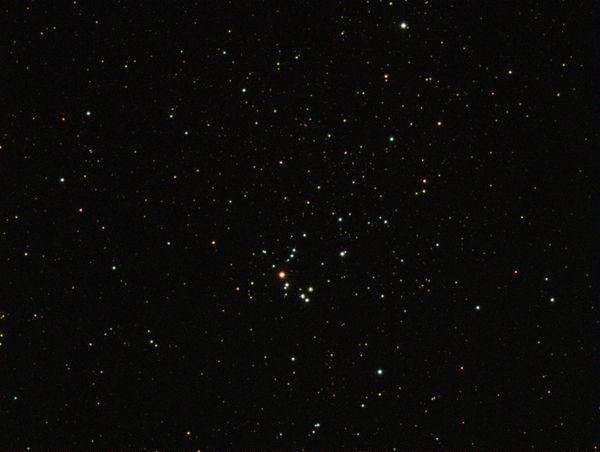 NGC 7031