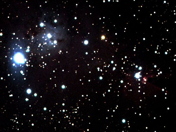 NGC 2264