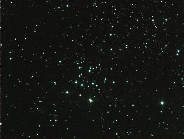 NGC 2343