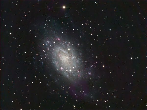NGC 2403