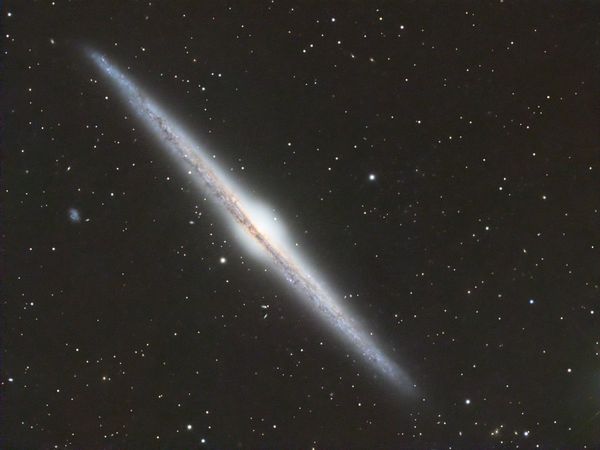 NGC 4565