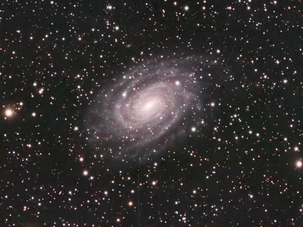 NGC 6384
