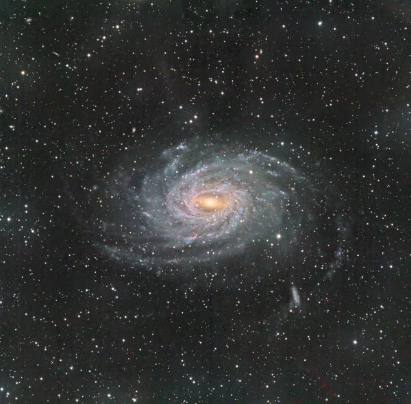 NGC 6744 in Pavo
