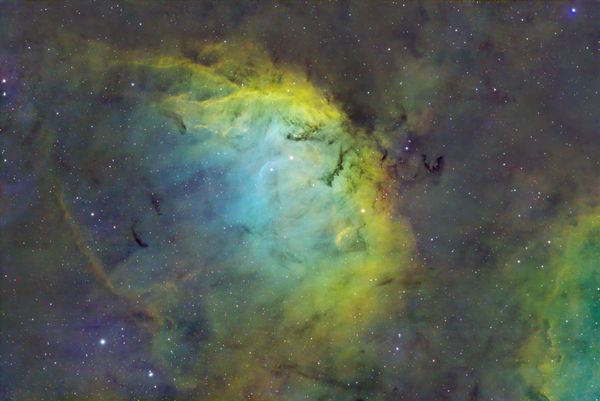 Sharpless 101 (The Tulip Nebula) in Cygnus