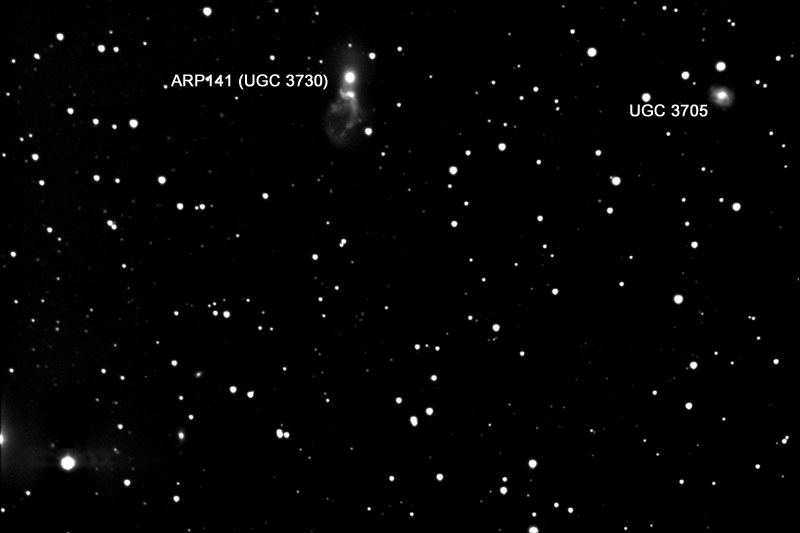 Arp 141