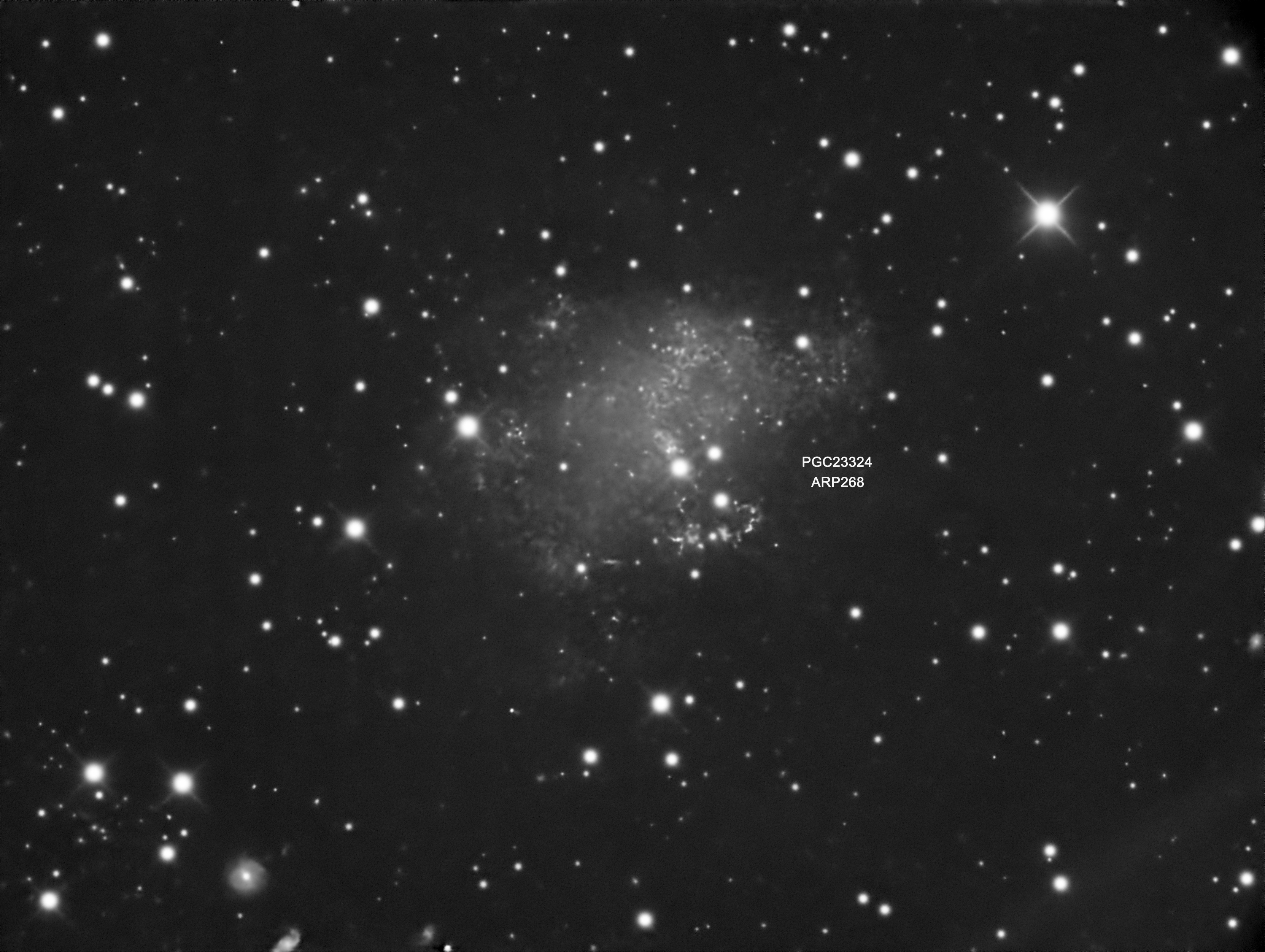 Arp 268