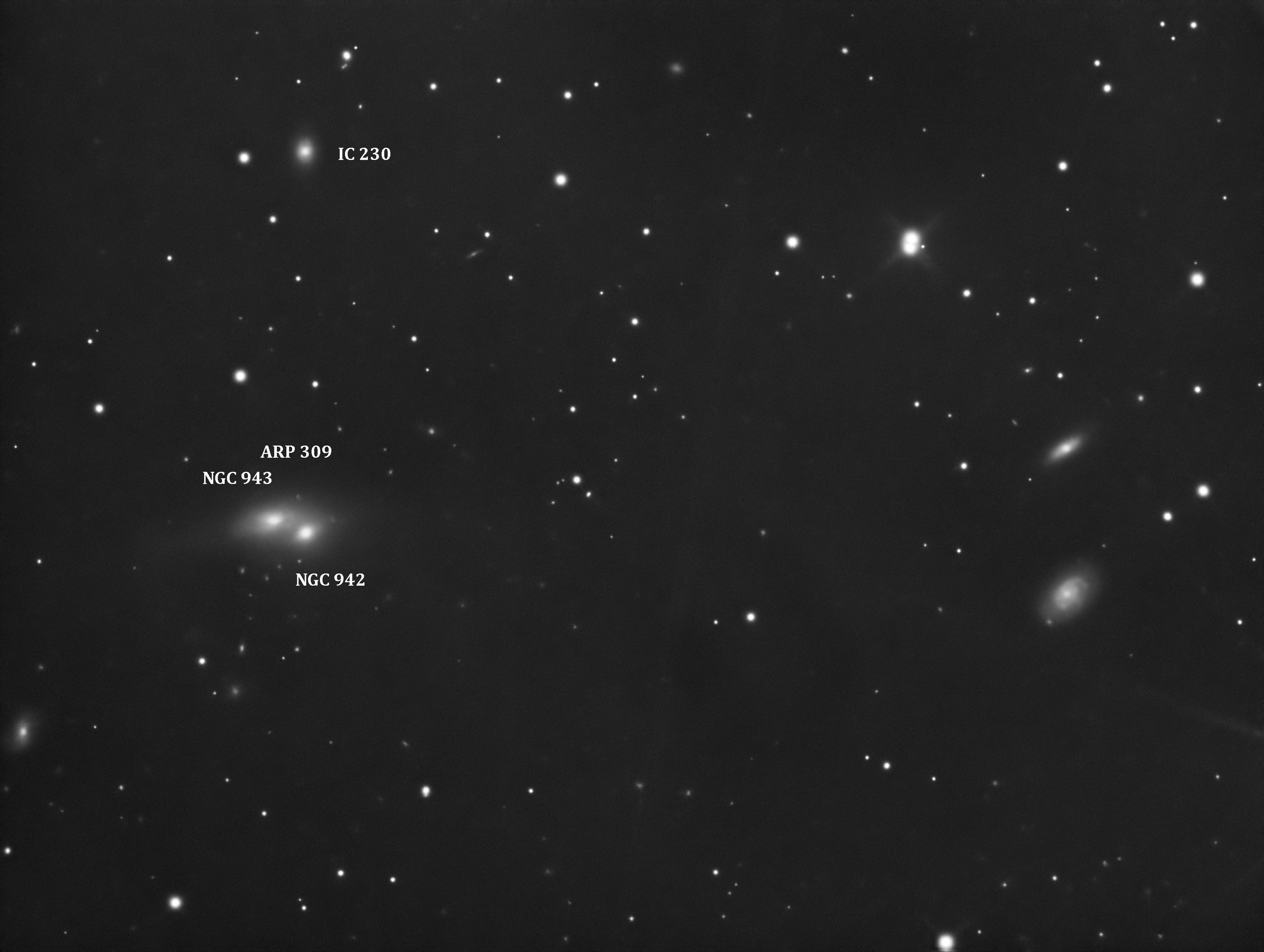 Arp 309