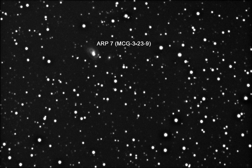 Arp 7