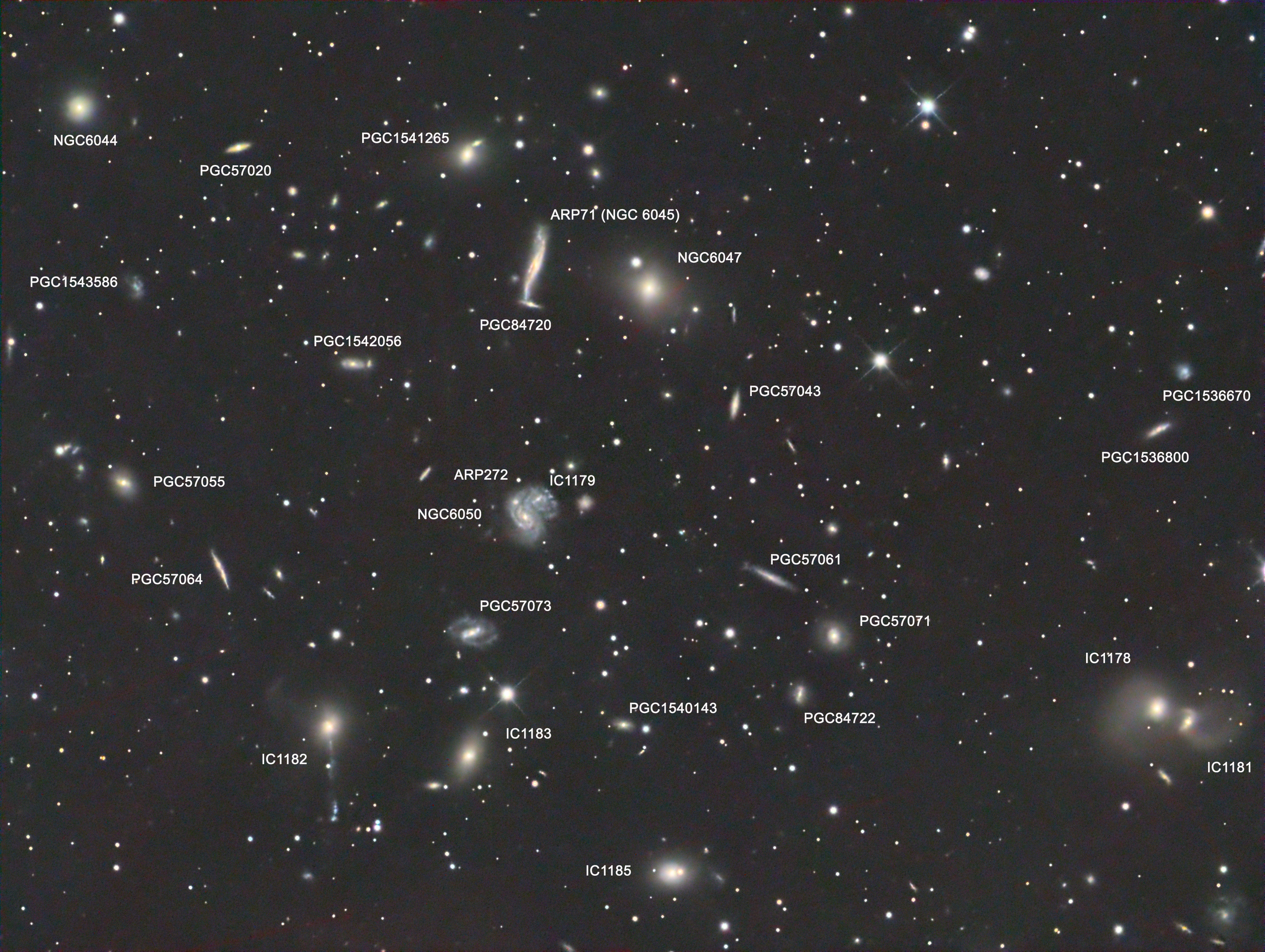Abell Cluster 2151 in Hercules
