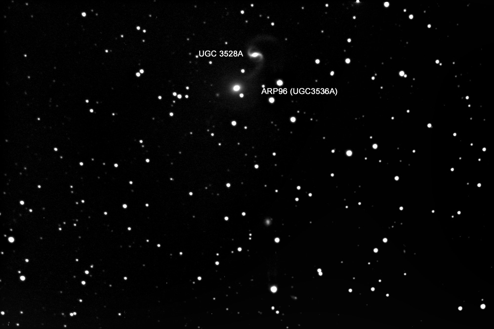 Arp 96