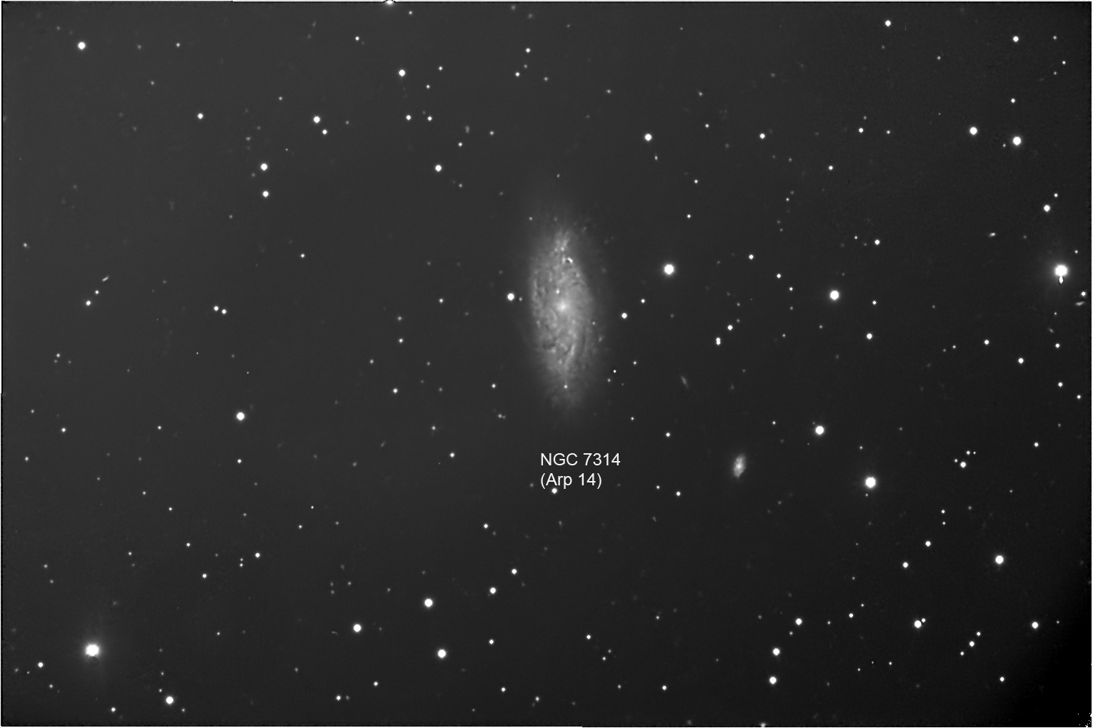 Arp 14
