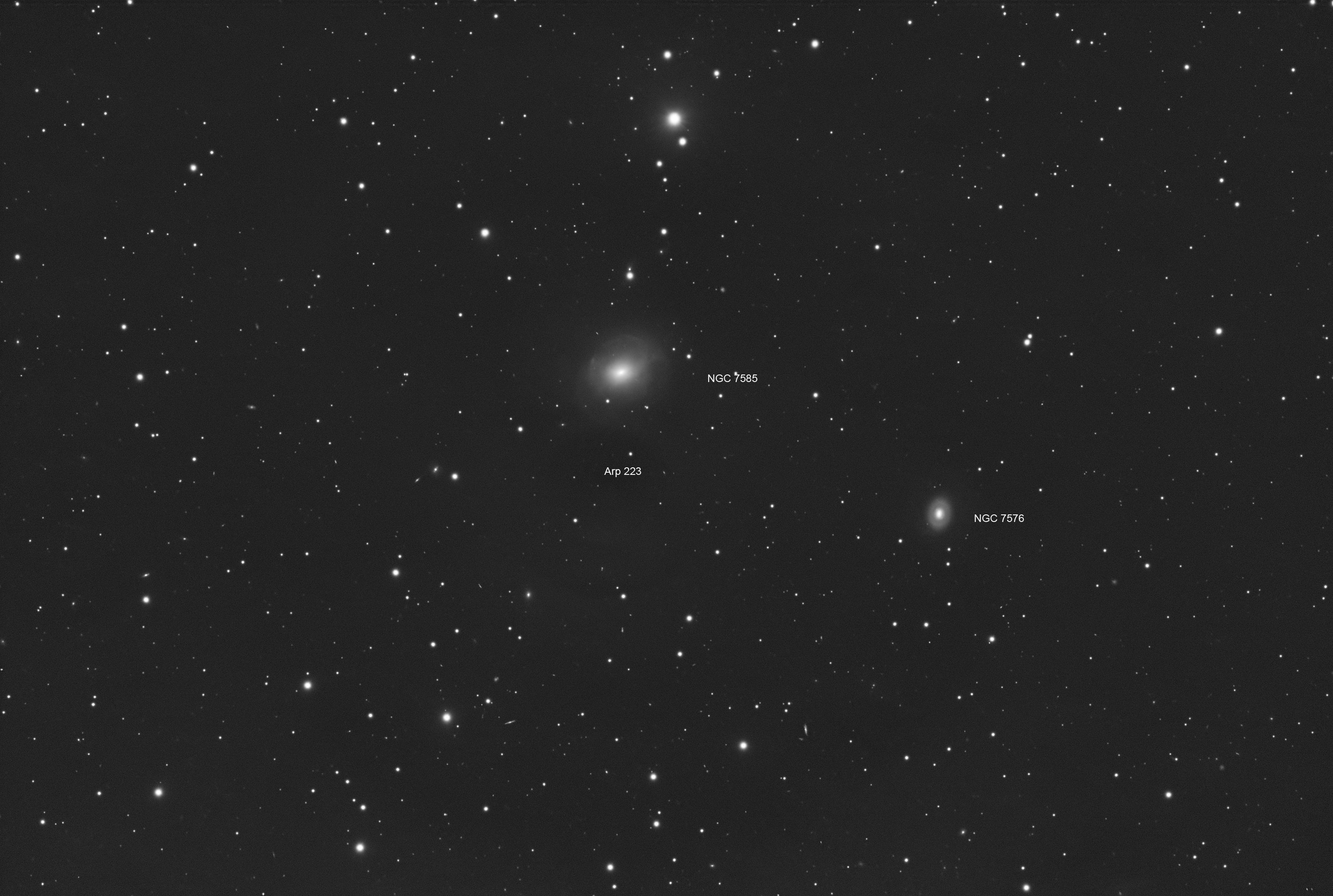 Arp 223