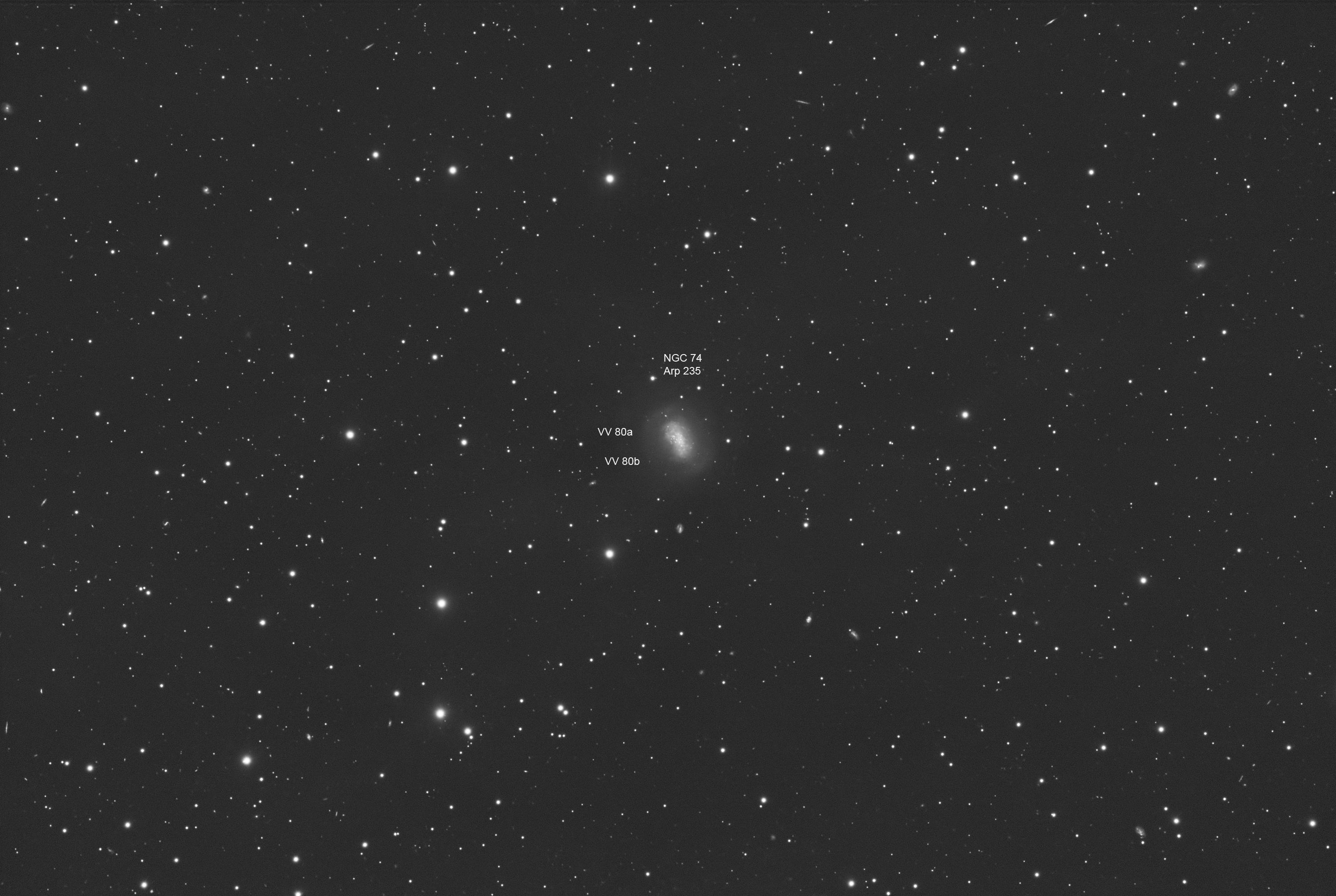 Arp 235