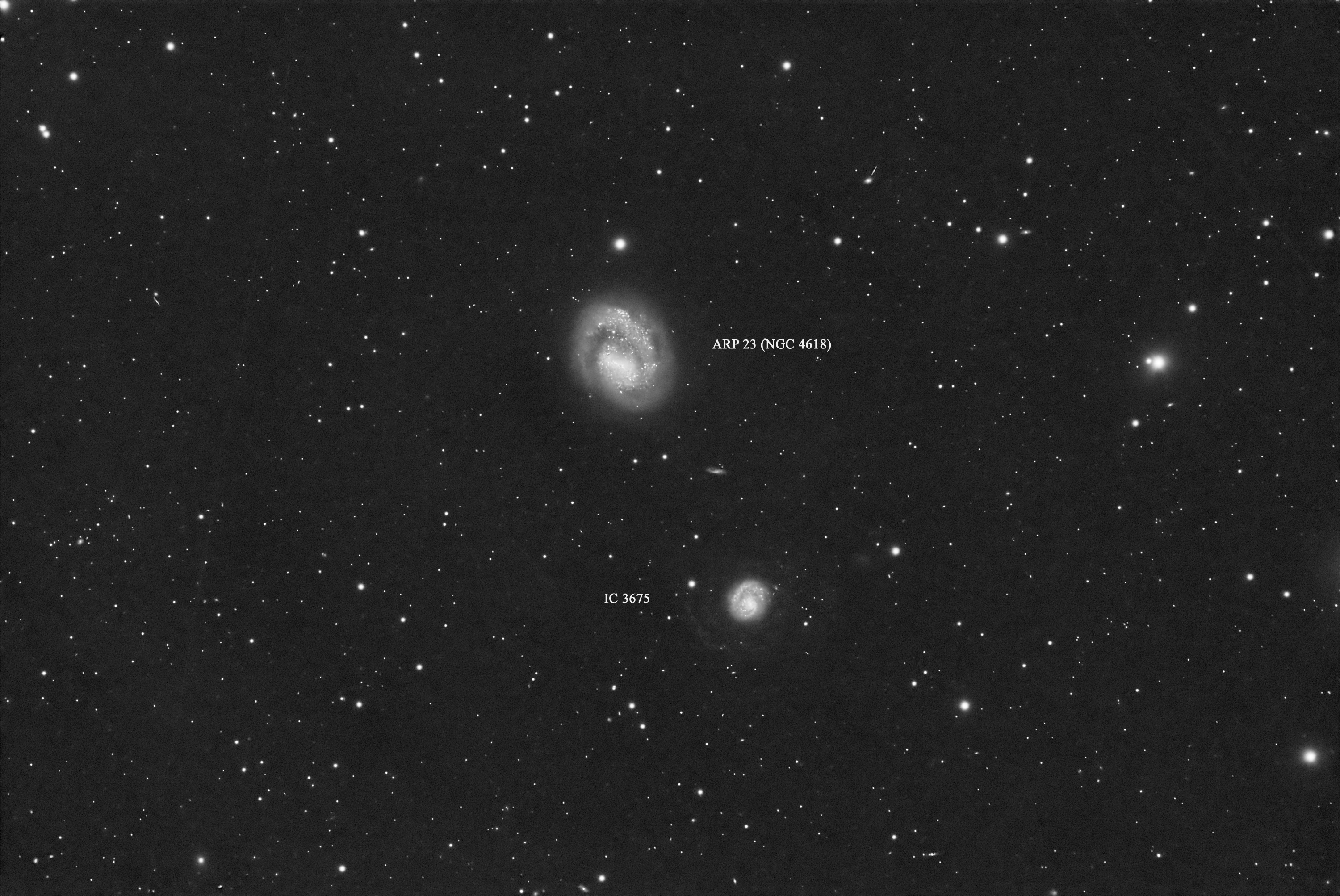 Arp 23