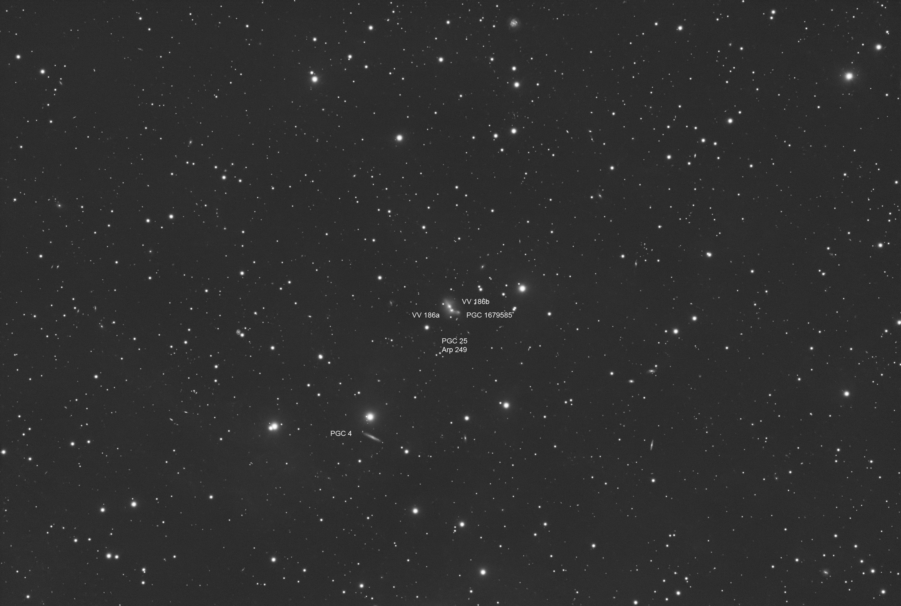 Arp 249