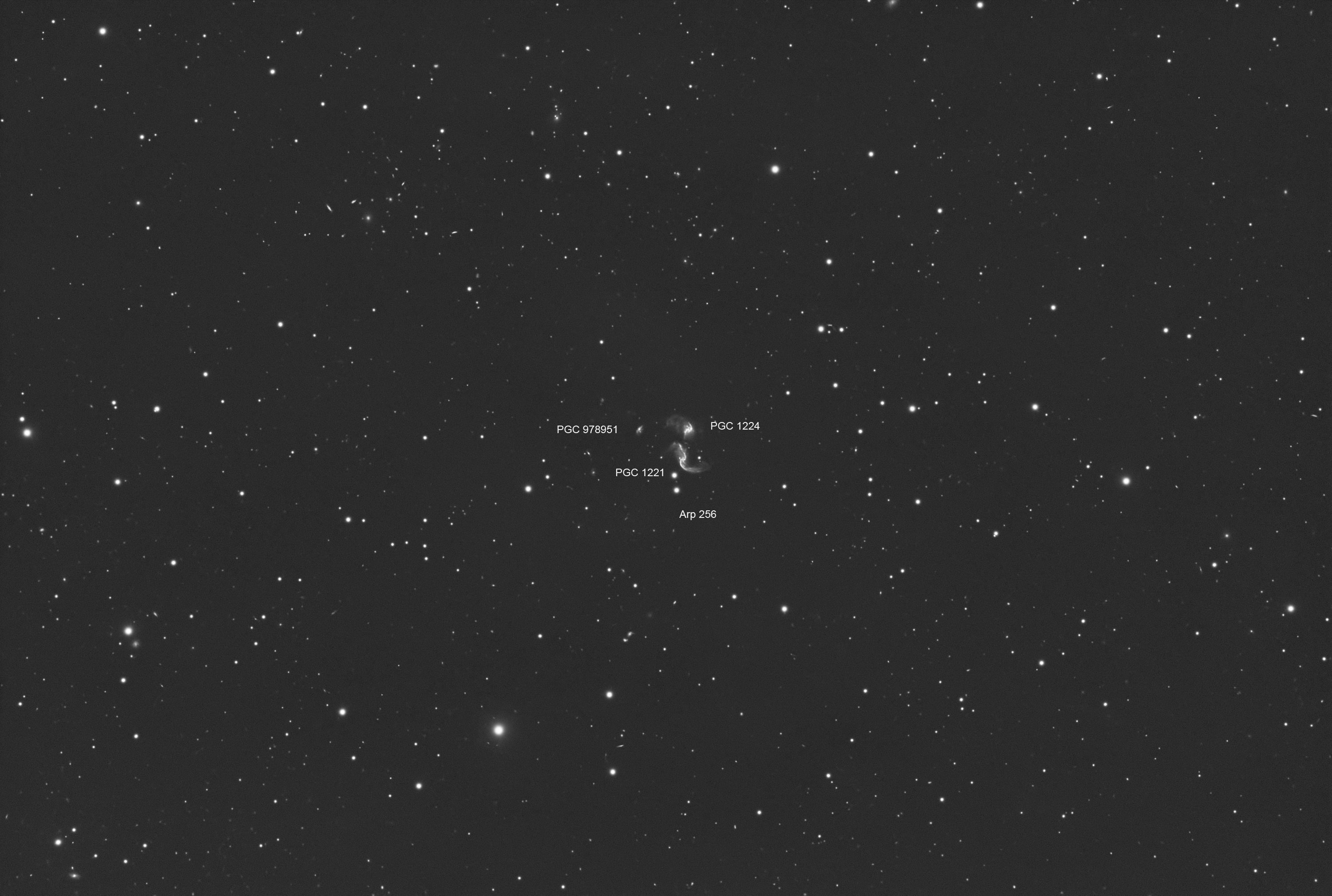 Arp 256