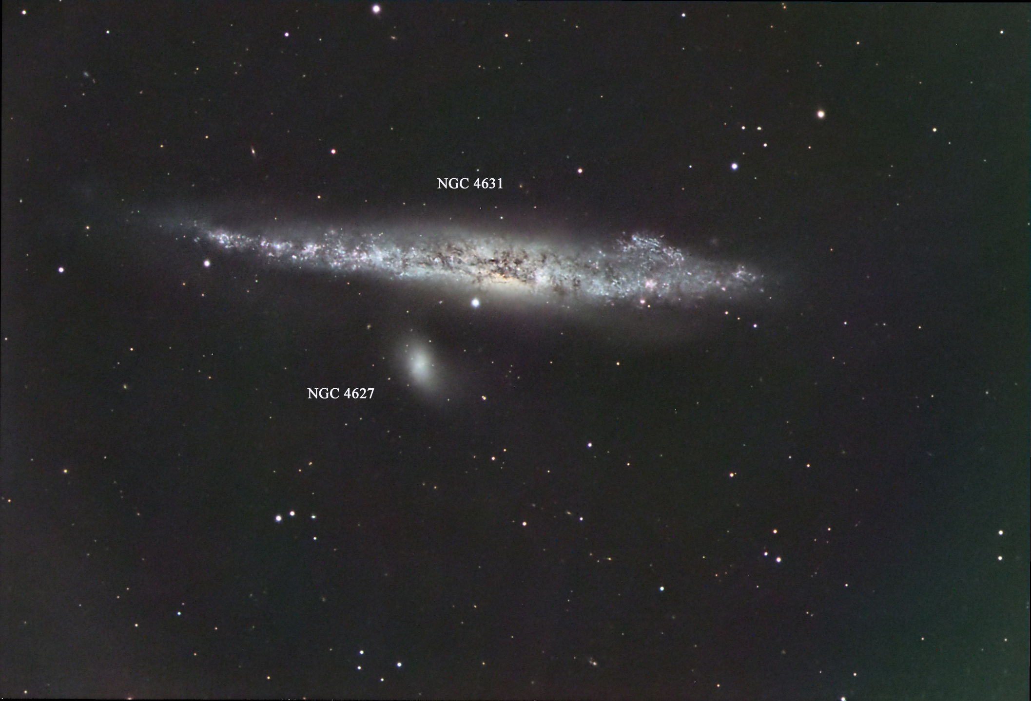 Arp 281
