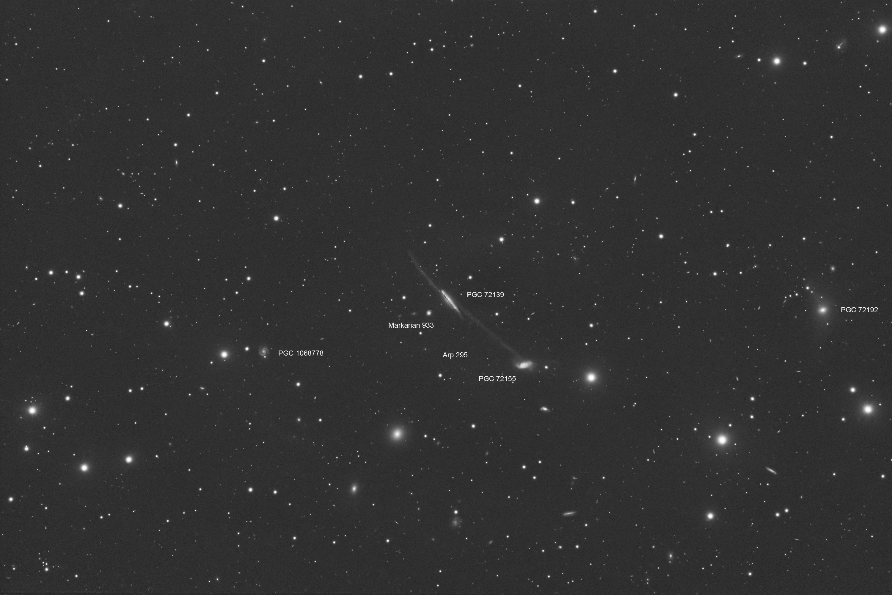 Arp 295