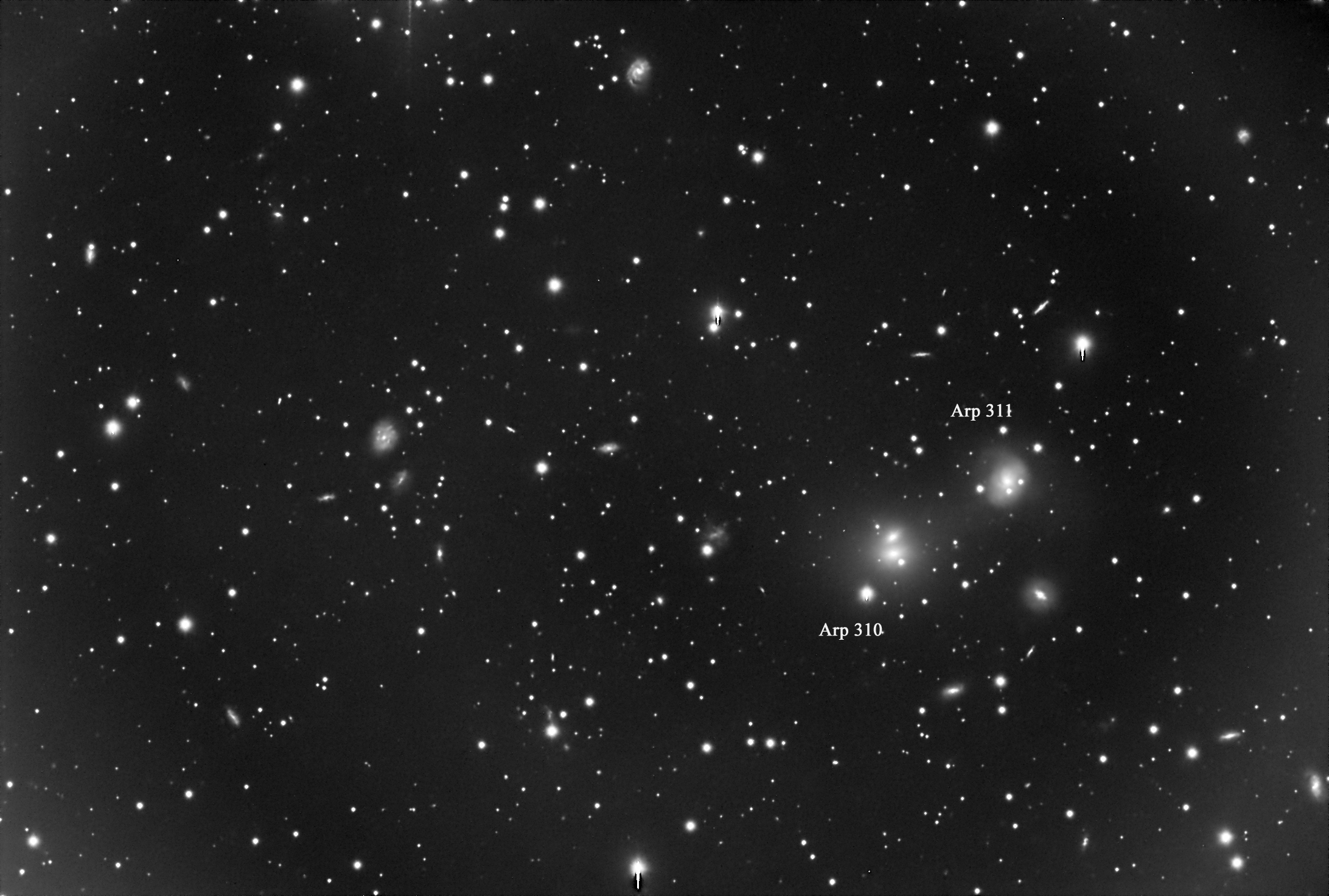 Arp 310
