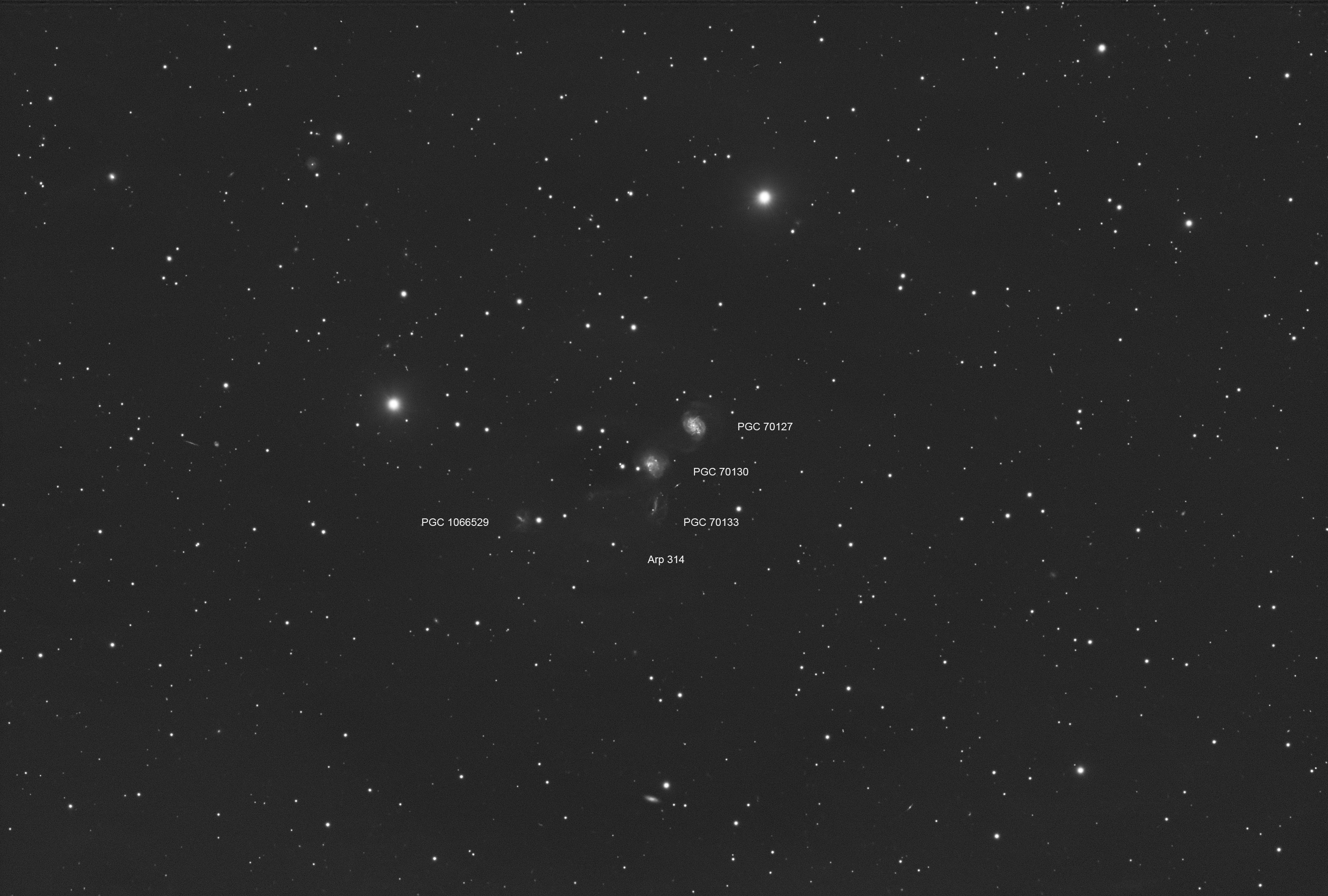 Arp 314