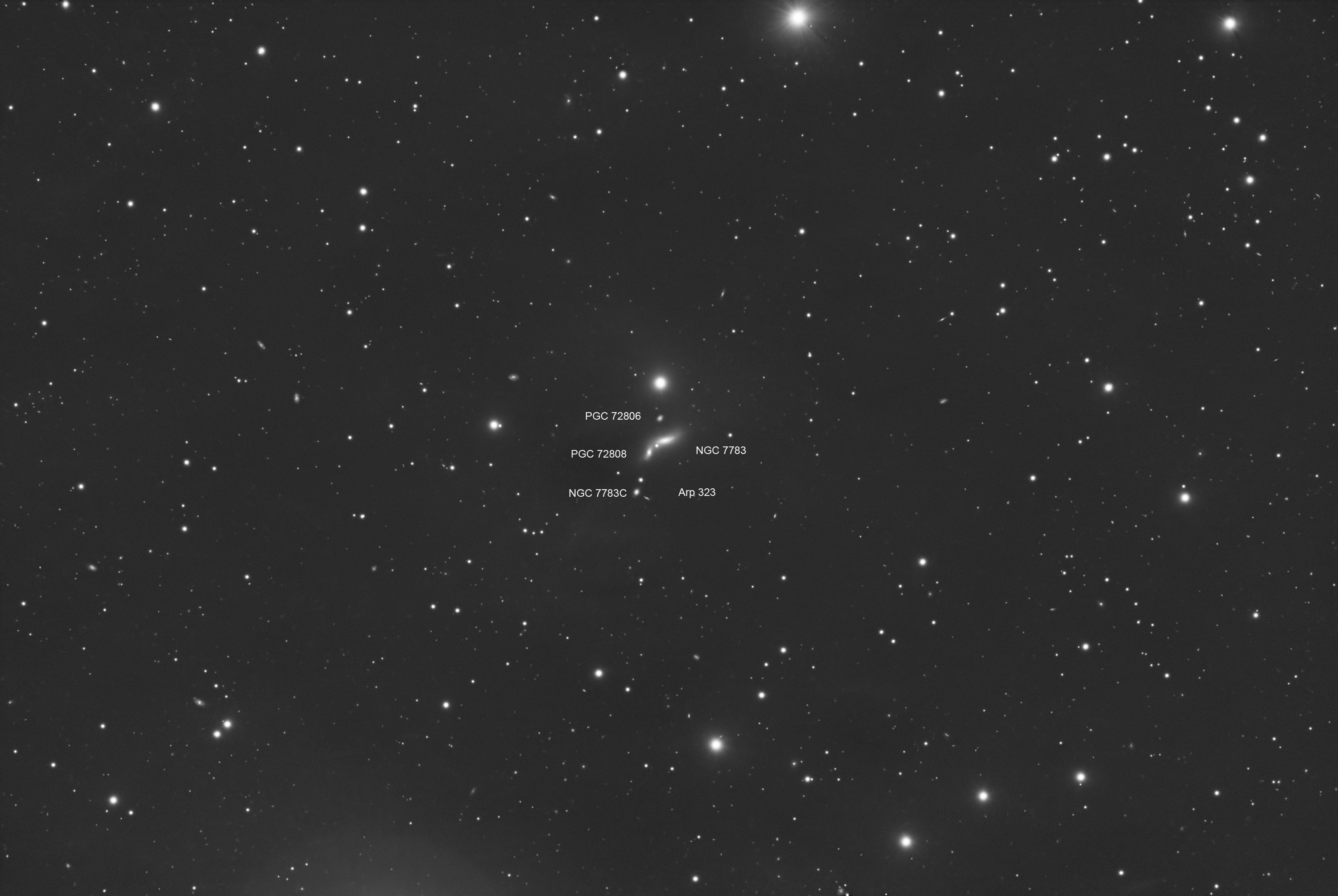 Arp 323