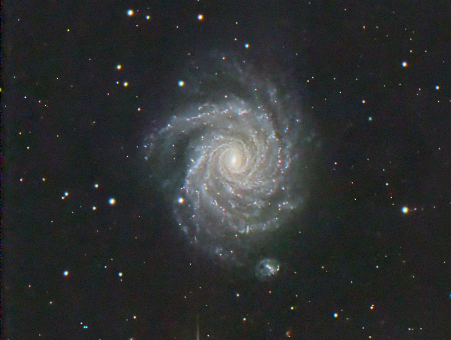 Arp 41