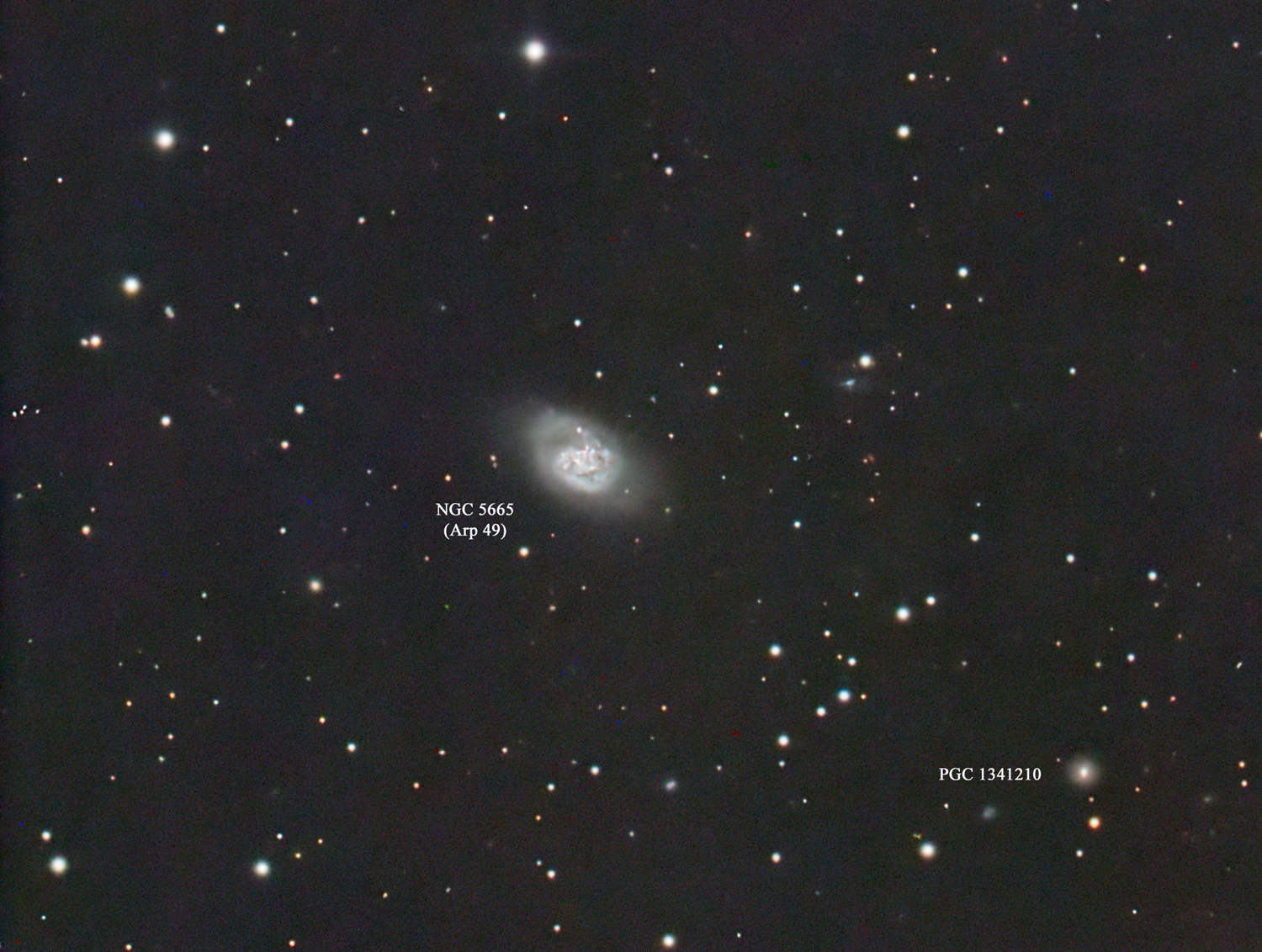 Arp 49
