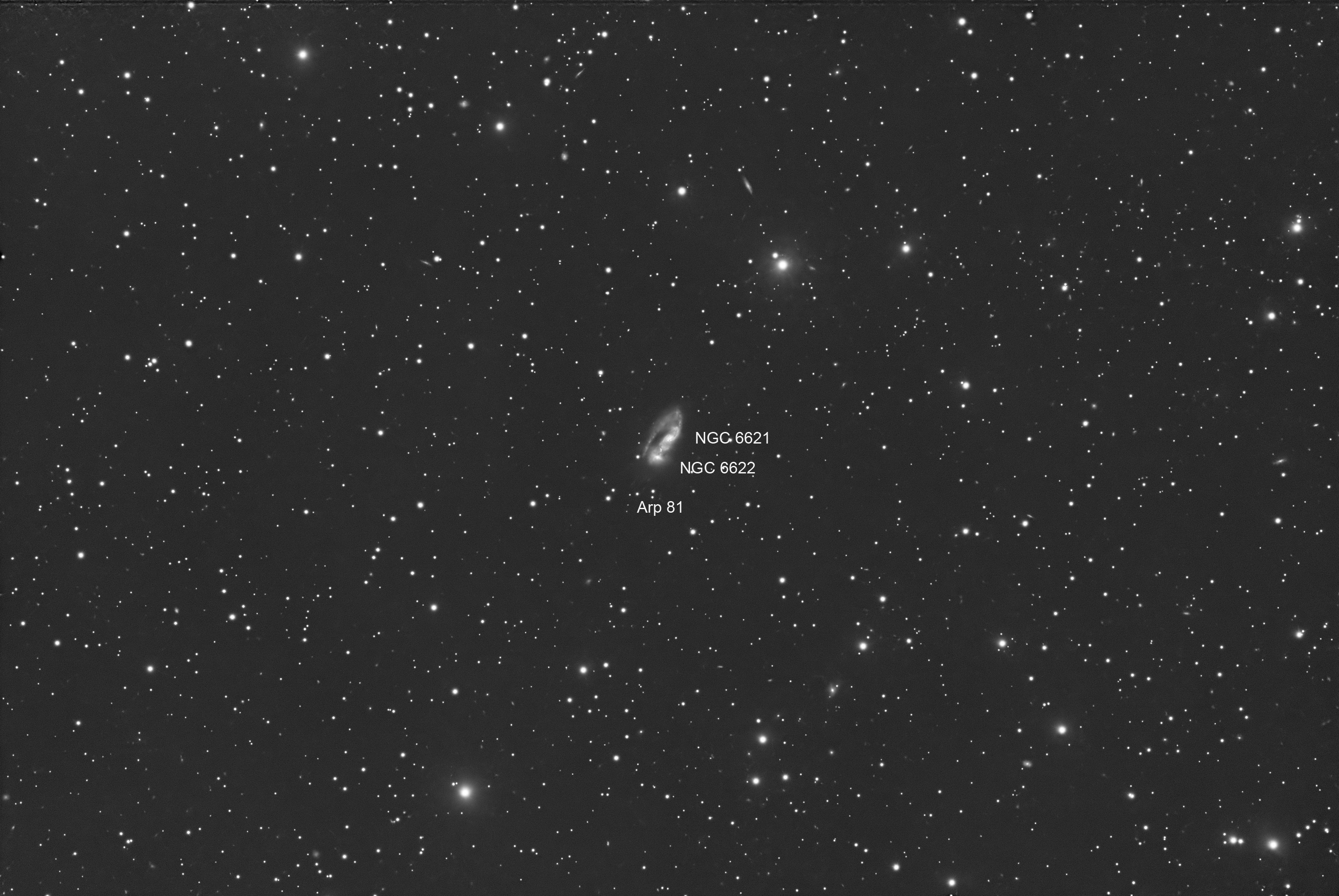 Arp 81