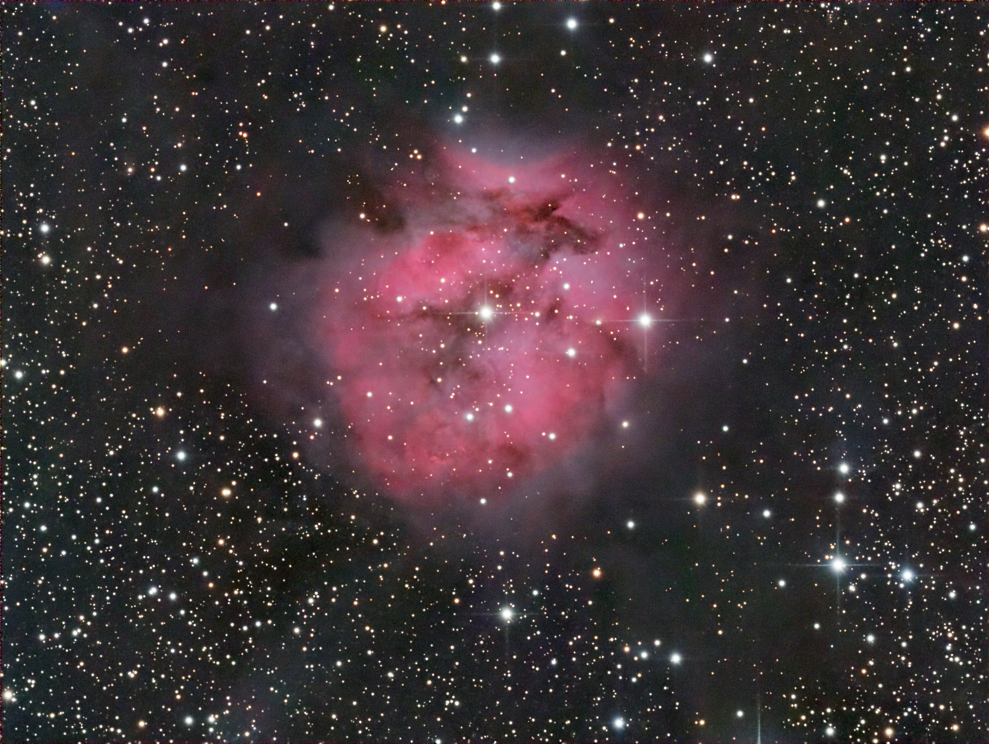 IC 5146, the "Cocoon" nebula.