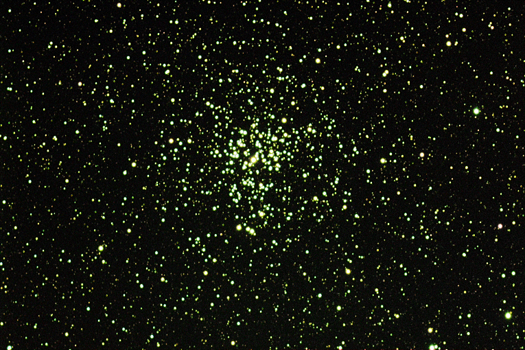 Messier 37 in Auriga