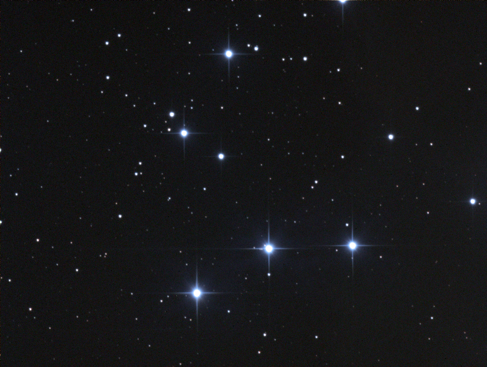 NGC 1981