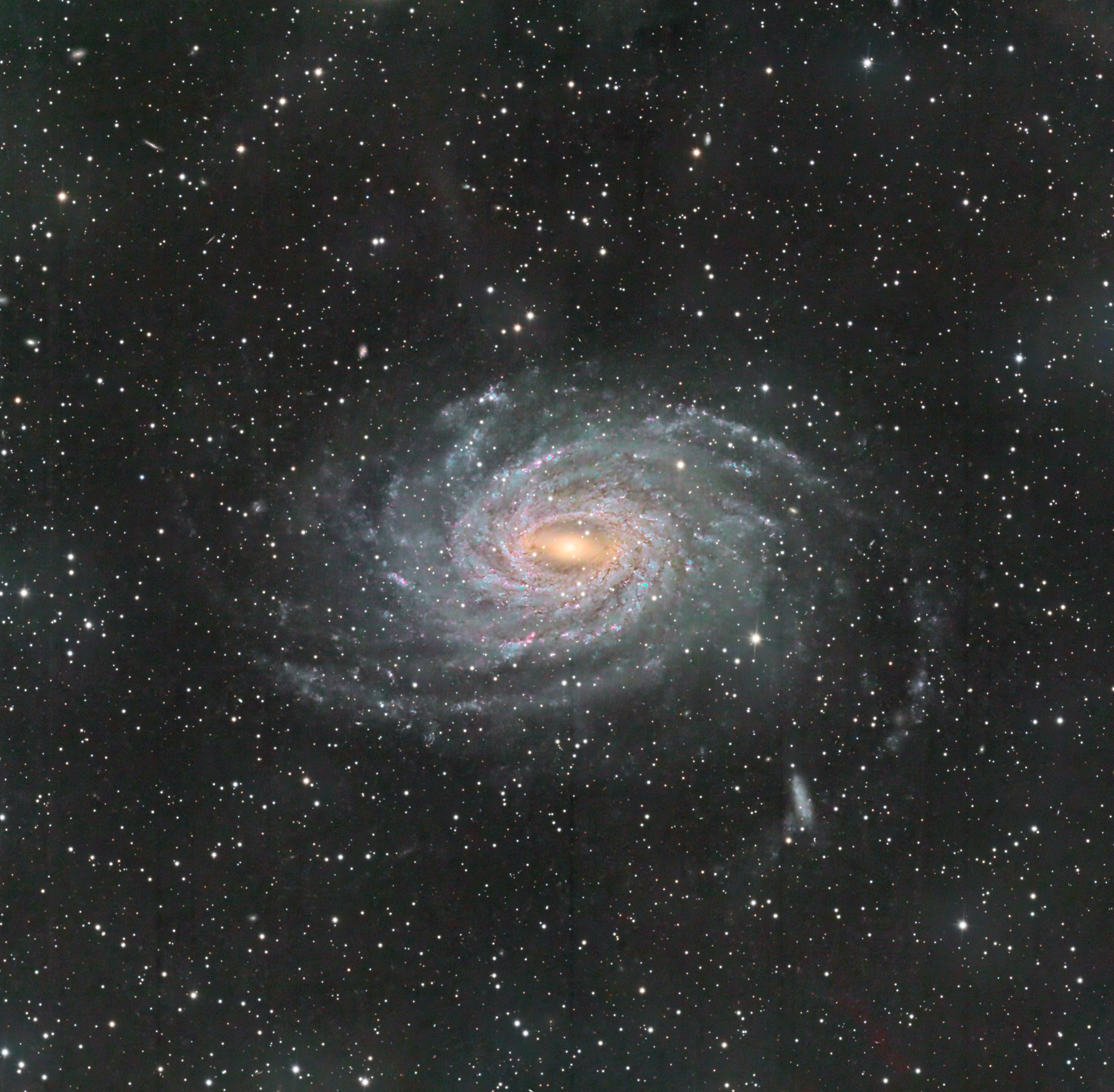 NGC 6744 in Pavo