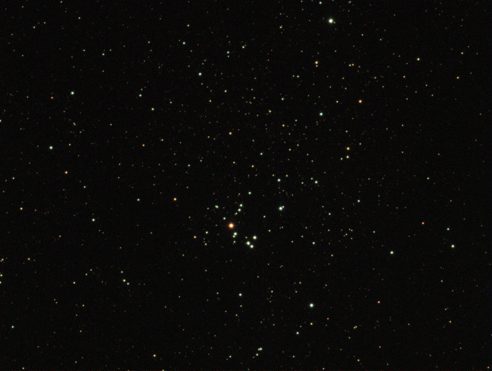 NGC 7031
