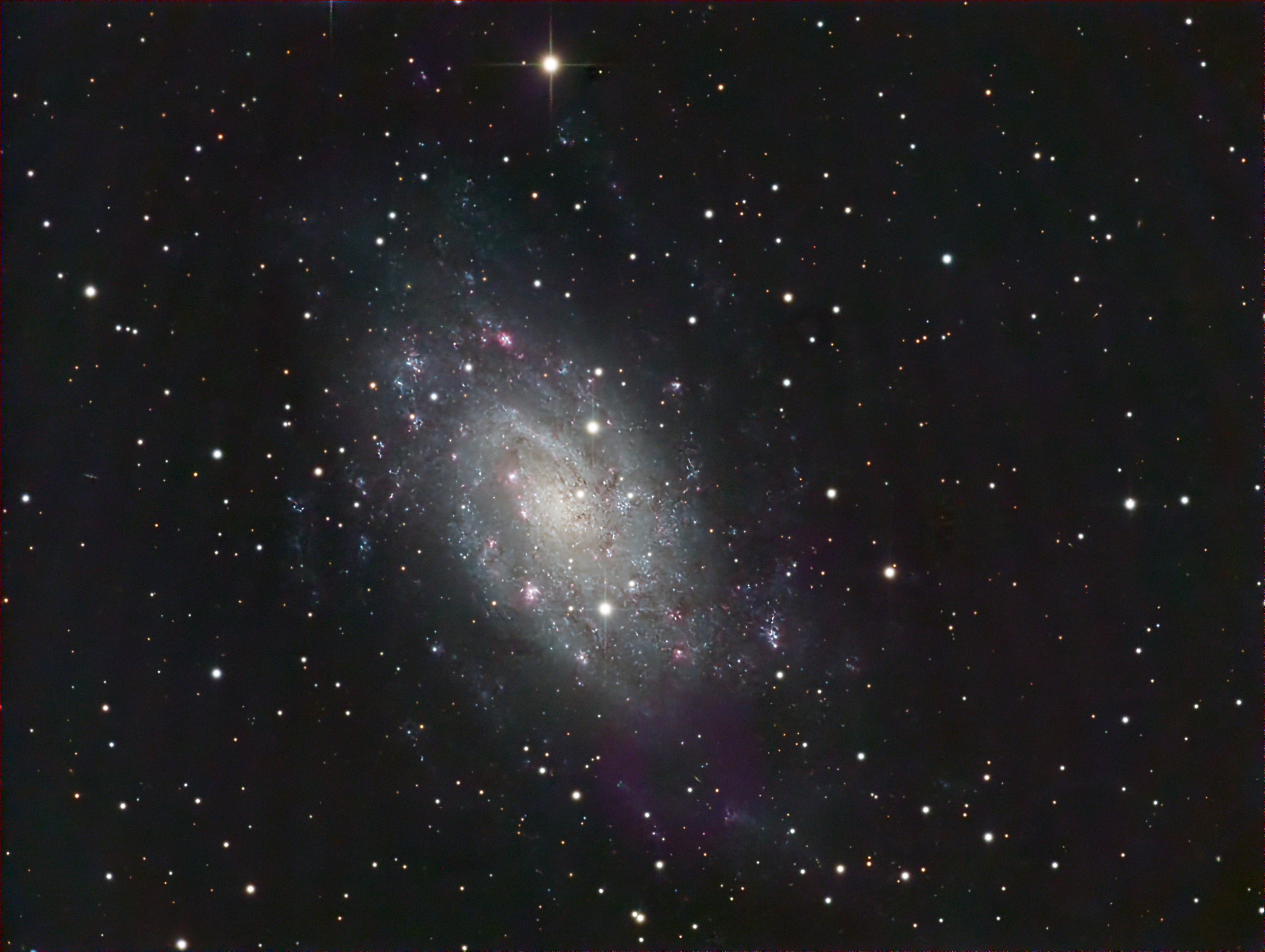 NGC 2403