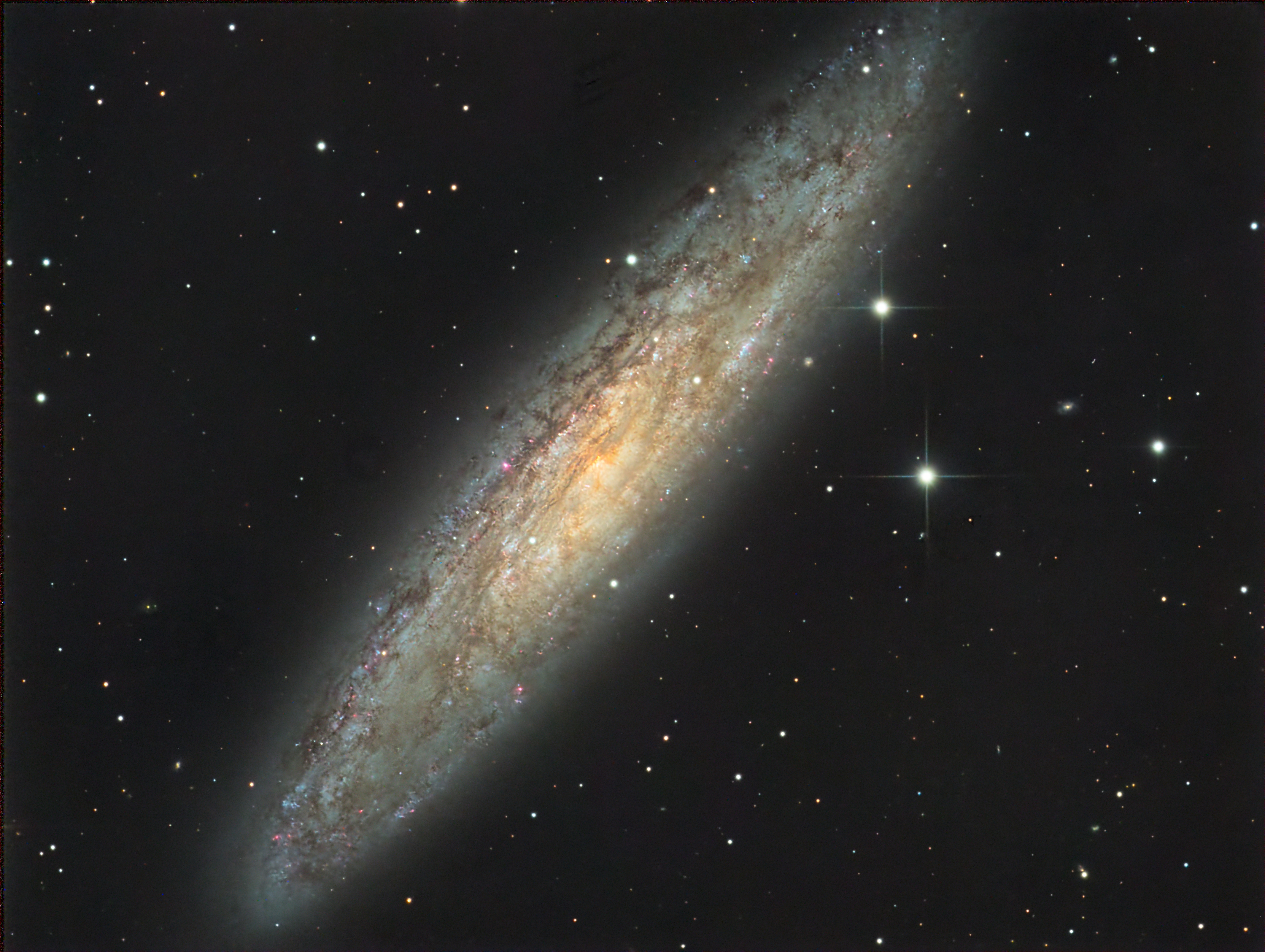 NGC 253